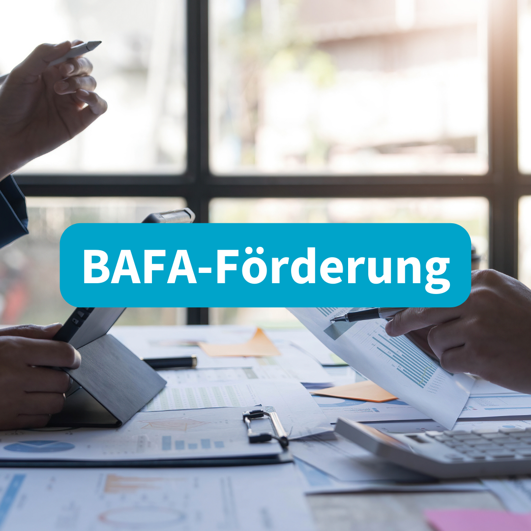 BAFA-Färderung